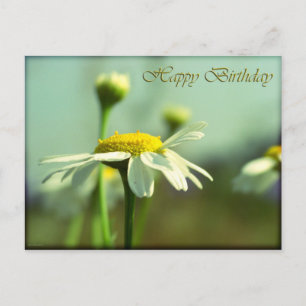 Herzlichen Glückwunsch zum Geburtstag Postkarte