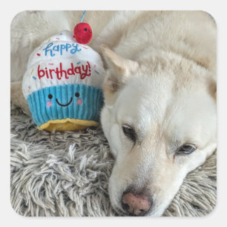Herzlichen Glückwunsch zum Geburtstag. Quadratischer Aufkleber