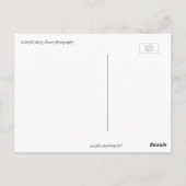 Herzlichen Glückwunsch zum Geburtstag, rot, gelb u Postkarte (Rückseite)