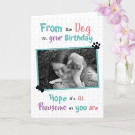 Herzlichen Glückwunsch zum Geburtstag vom Hund Karte