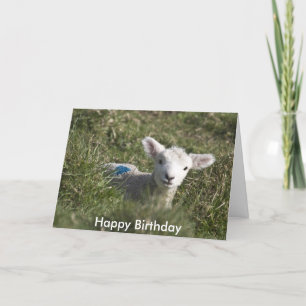 Herzlichen Glückwunsch zum Geburtstag von mir zu u Karte