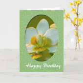 Herzlichen Glückwunsch zum Geburtstag, weiße Orchi Karte (Gelbe Blume)