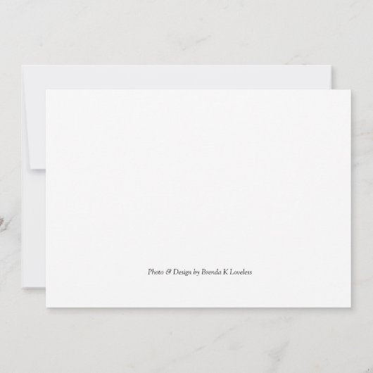 Herzlichen Glückwunsch zum Geburtstag (White Rock  (Rückseite)