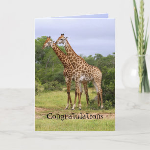 Herzlichen Glückwunsch zum Jubiläum Giraffen Karte