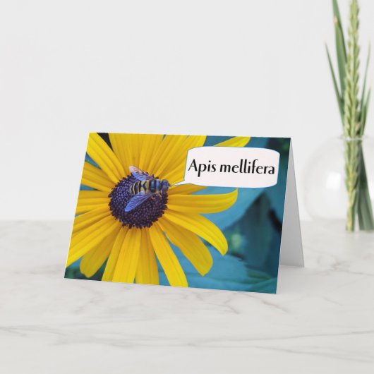 Herzlichen Glückwunsch zum Sieg bei der Buchstabie Karte (Vorderseite)