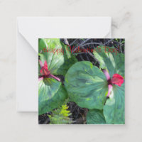 Herzlichen Glückwunsch zum Valentinstag!