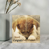 Herzlichen Glückwunsch zur neuen Dockingkarte für Karte