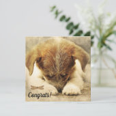 Herzlichen Glückwunsch zur neuen Dockingkarte für  Karte (Stehend Vorderseite)