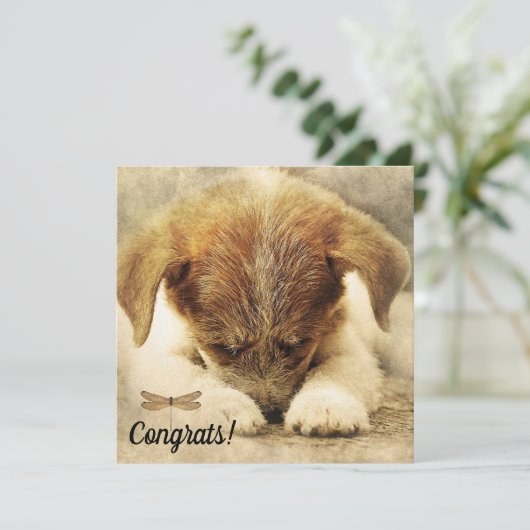 Herzlichen Glückwunsch zur neuen Dockingkarte für Karte (Stehend Vorderseite)