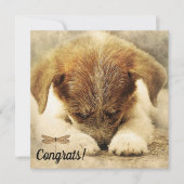 Herzlichen Glückwunsch zur neuen Dockingkarte für  Karte (Vorderseite)