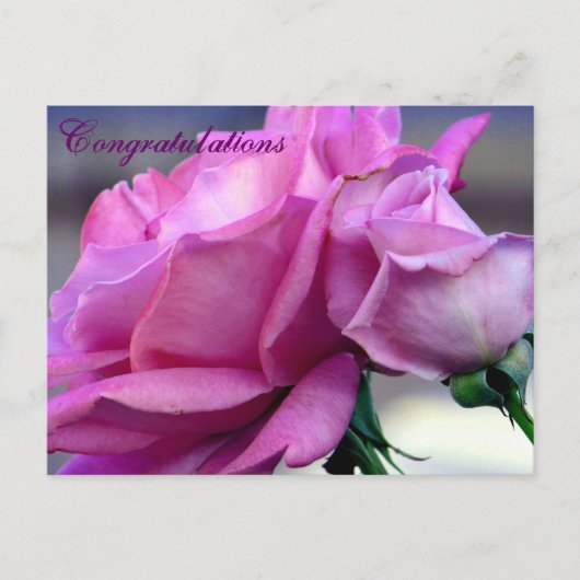 Herzlichen Glückwunsch zur Postkarte (Vorderseite)