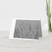 Herzliches Beileid ! Karte (Rückseite)