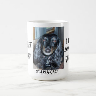 Herzliches Gedenken für das Fellbaby Ein Foto und  Kaffeetasse