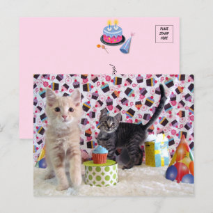 Herzlichsten Geburtstagswünsche - Katzen-Postkarte Postkarte