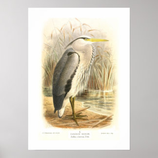 Herzog Poster
