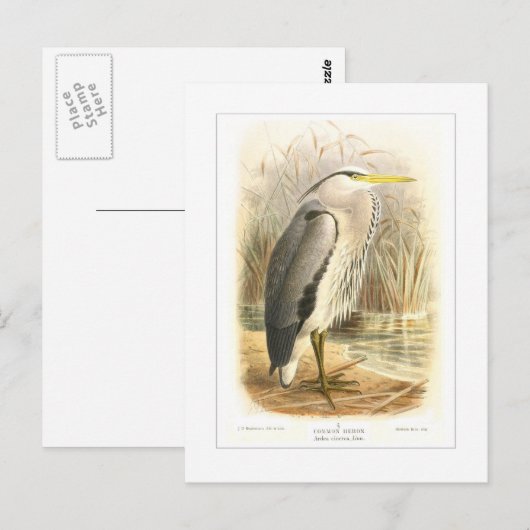 Herzog Postkarte (Vorne/Hinten)