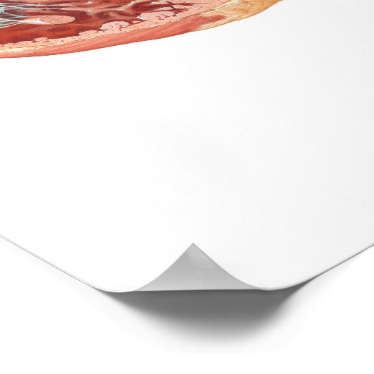 Herzquerschnitt durch Frank H. Netter, MD Poster (Ecke)