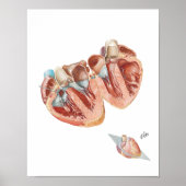 Herzquerschnitt durch Frank H. Netter, MD Poster (Vorne)