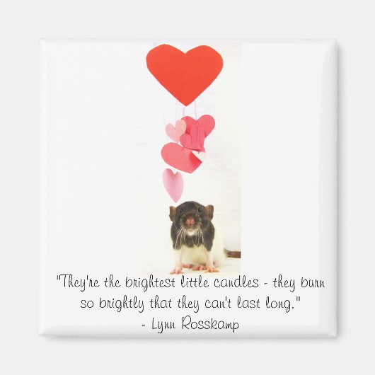 Herzrat Magnet (Vorne)