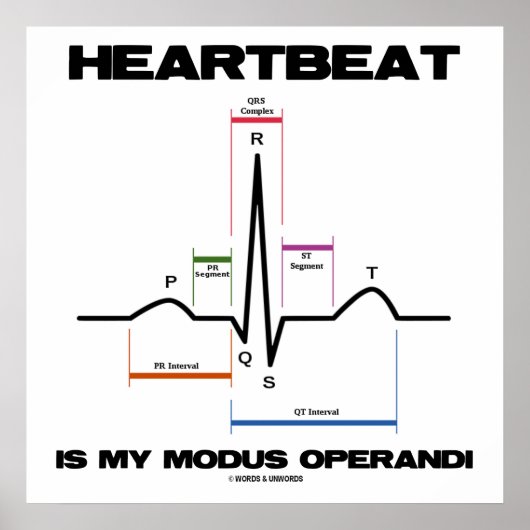 Herzschlag ist mein Modus Operandi Sinus Rhythmus Poster (Vorne)