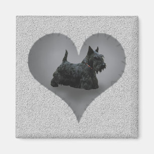 HerzScottie Magnet