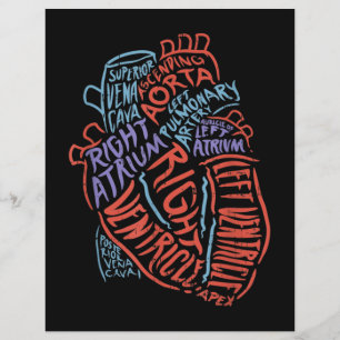 Herzspezialist Anatomie Doktor Medizinische Biolog