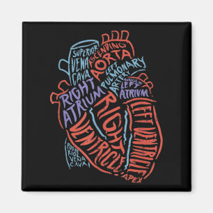 Herzspezialist Anatomie Doktor Medizinische Biolog Magnet