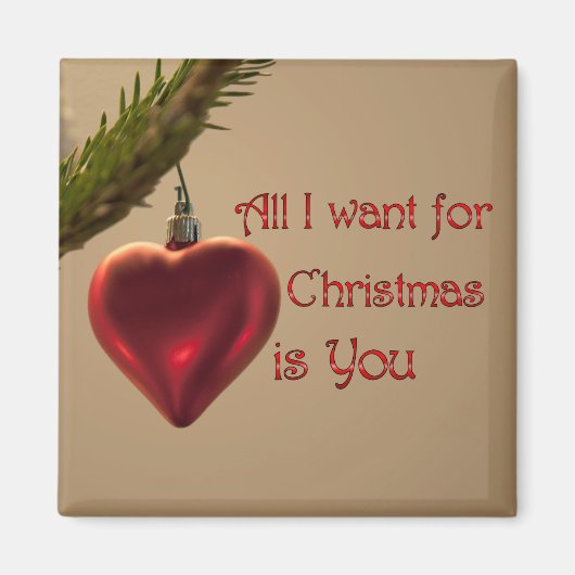 Herzverzierung - Alles, was ich zu Weihnachten Wol Magnet (Vorne)