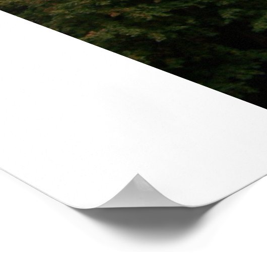 Hesbergh Library Poster (Ecke)