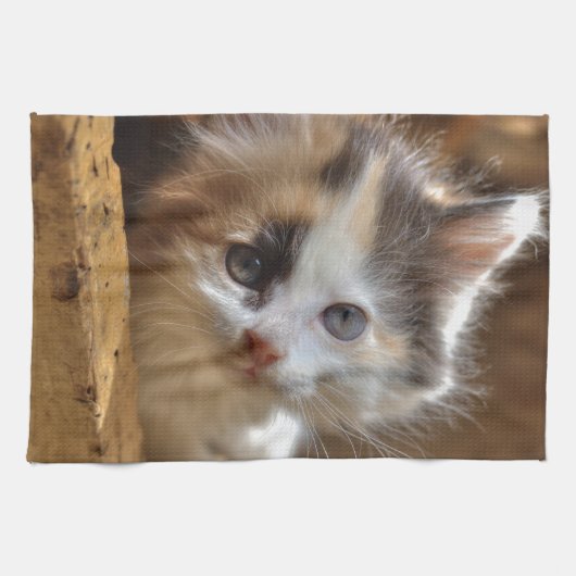 Heterochromia Calico Kitten Handtuch (Horizontal)