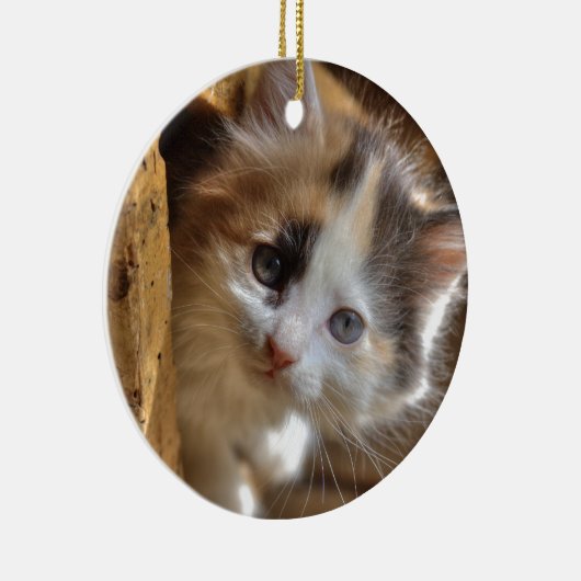 Heterochromia Calico Kitten Keramikornament (Rechts)