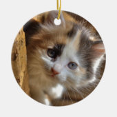 Heterochromia Calico Kitten Keramikornament (Vorne)