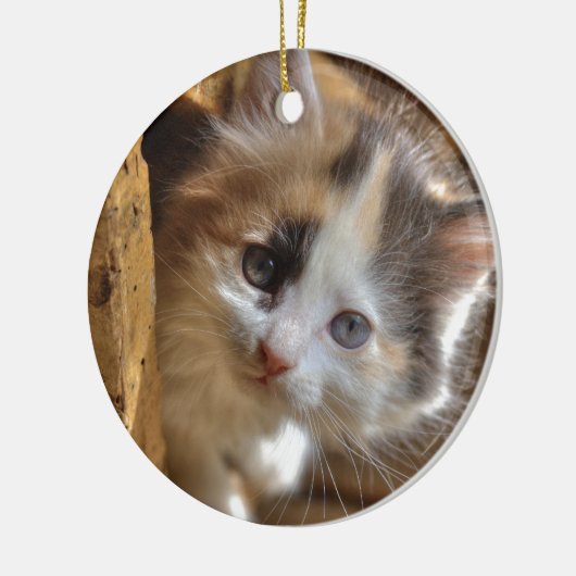 Heterochromia Calico Kitten Keramikornament (Links)