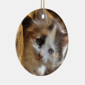 Heterochromia Calico Kitten Keramikornament (Rechts)