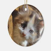 Heterochromia Calico Kitten Keramikornament (Links)