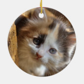 Heterochromia Calico Kitten Keramikornament (Hinten)