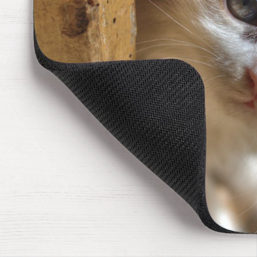 Heterochromia Calico Kitten Mousepad (Ecke)