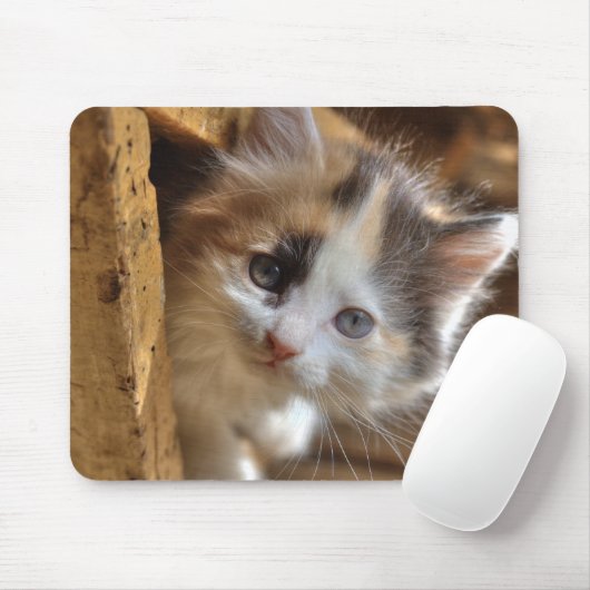 Heterochromia Calico Kitten Mousepad (Mit Mouse)