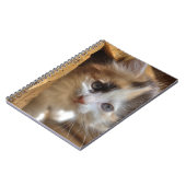 Heterochromia Calico Kitten Notizblock (Linke Seite)