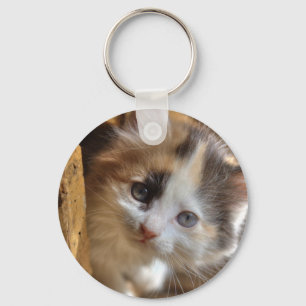 Heterochromia Calico Kitten Schlüsselanhänger