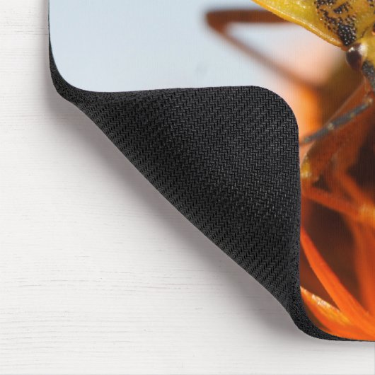 Heteroptera Mousepad (Ecke)