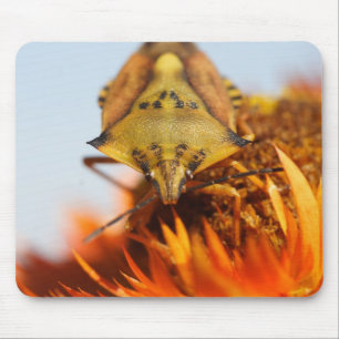 Heteroptera Mousepad