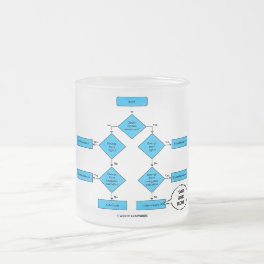 Heterotrophe Flussdiagramm Sie sind hier Biologie Mattglastasse (Mittel)