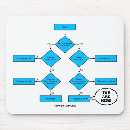 Heterotrophe Flussdiagramm - Sie sind hier Mousepad (Vorne)