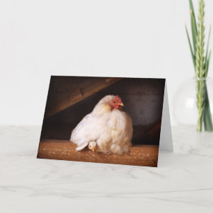 hetty&chick karte