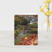 Hetzendes Wasser Karte (Gelbe Blume)