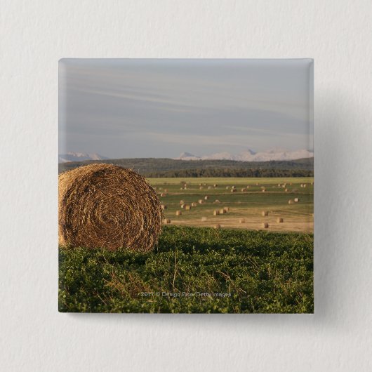 Heu-Ballen auf einem Gebiet mit Bergen am Button (Vorderseite)