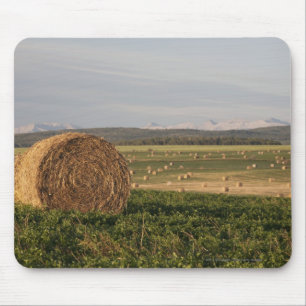Heu-Ballen auf einem Gebiet mit Bergen am Mousepad