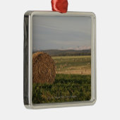 Heu-Ballen auf einem Gebiet mit Bergen am Silbernes Ornament (Rechts)