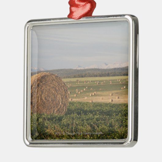 Heu-Ballen auf einem Gebiet mit Bergen am Silbernes Ornament (Links)